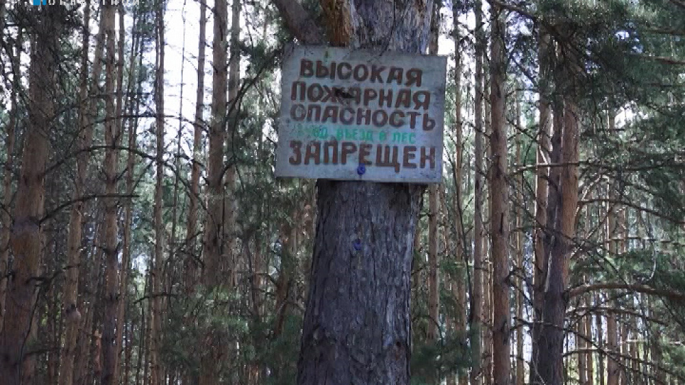 В 14 муниципалитетах области ввели особый противопожарный режим