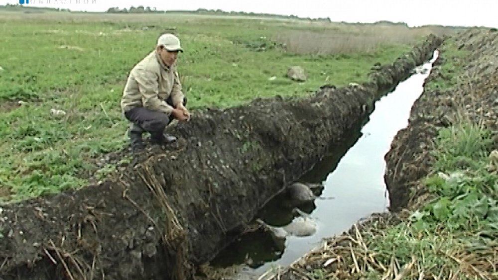 На центральной улице Касаргов появился большой ров