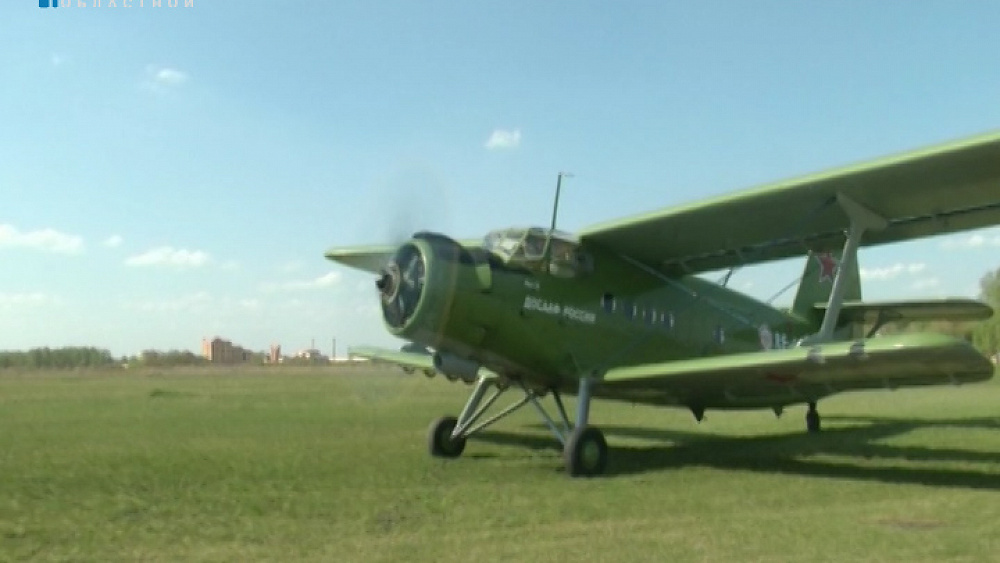 Лесники обнаружили 215 пожаров