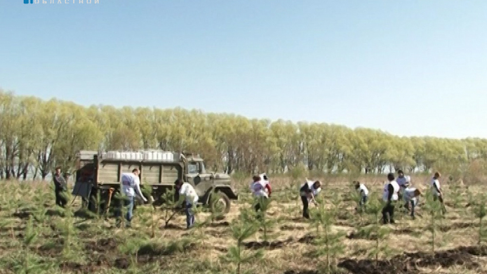 Депутат ГорДумы Андрей Барышев посадил именное дерево