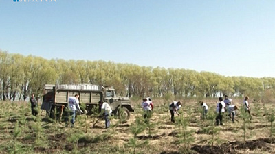 Депутат ГорДумы Андрей Барышев посадил именное дерево