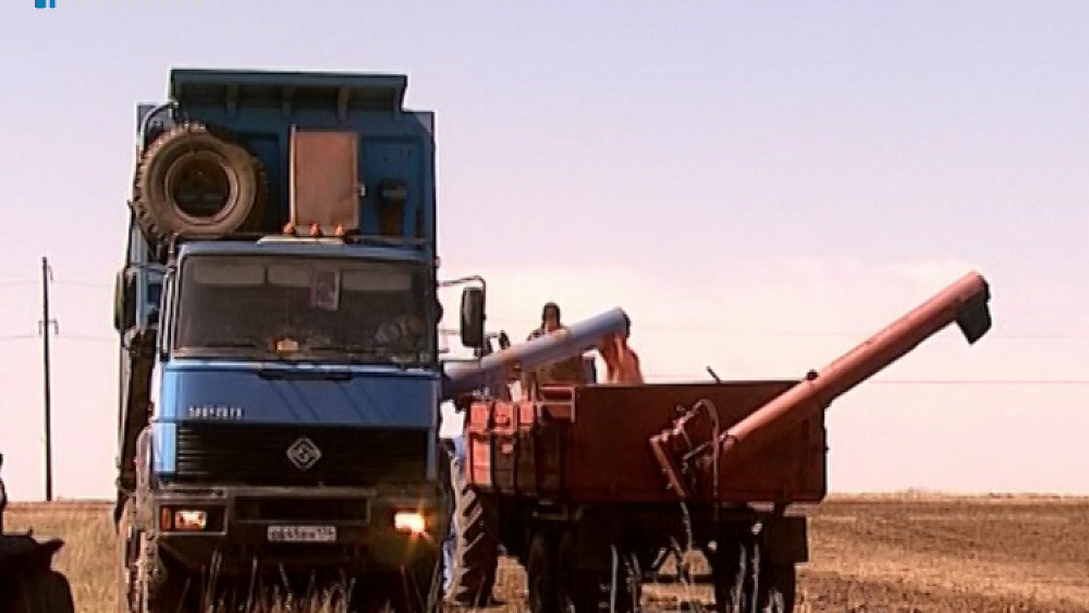 В Челябинской области стартовала посевная кампания