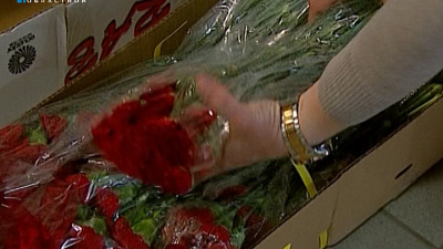 В Челябинск к майским праздникам привезли 100 тысяч гвоздик 