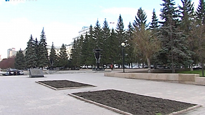 В городах региона высаживают цветы и деревья