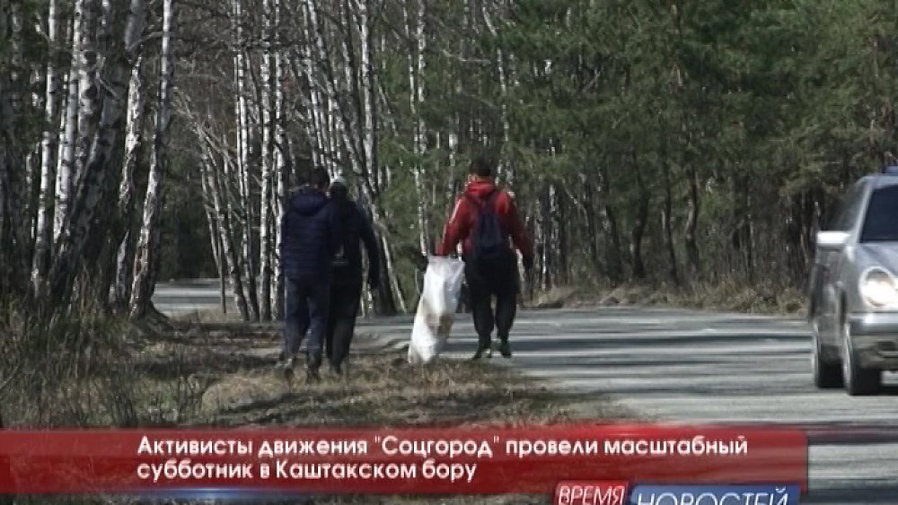 Активисты движения "Соцгород" провели масштабный субботник в Каштакском бору