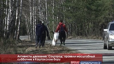 Активисты движения "Соцгород" провели масштабный субботник в Каштакском бору