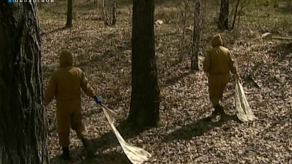 Количество укусов клещей в области выросло в два раза