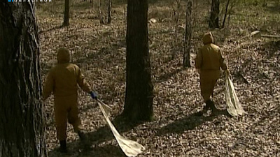 Количество укусов клещей в области выросло в два раза