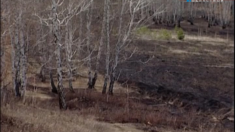 Время новостей. Миасс от 21.04.2016