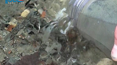 Челябинский дворник пытается сохранить старинный родник в центре города