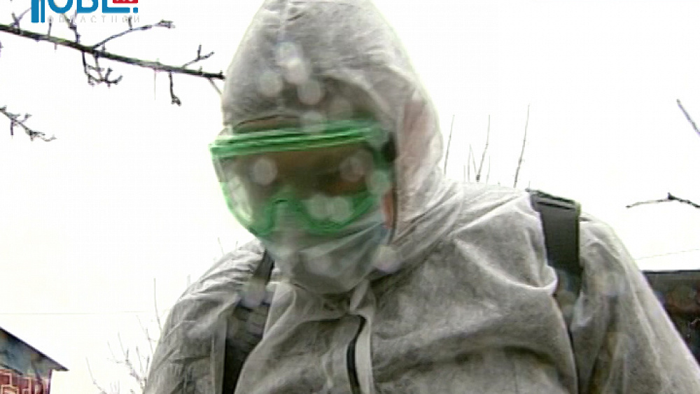 Клещи проснулись