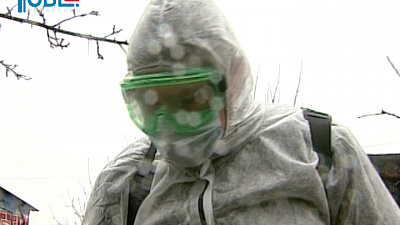 Клещи проснулись