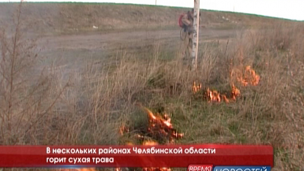 В нескольких районах Челябинской области горит сухая трава