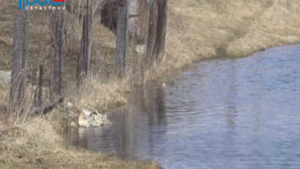 В Челябинской области начинается паводок