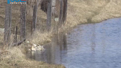 В Челябинской области начинается паводок