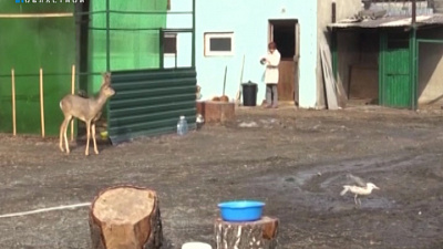 Карен Даллакян в поисках втормета прочёсывает городские свалки