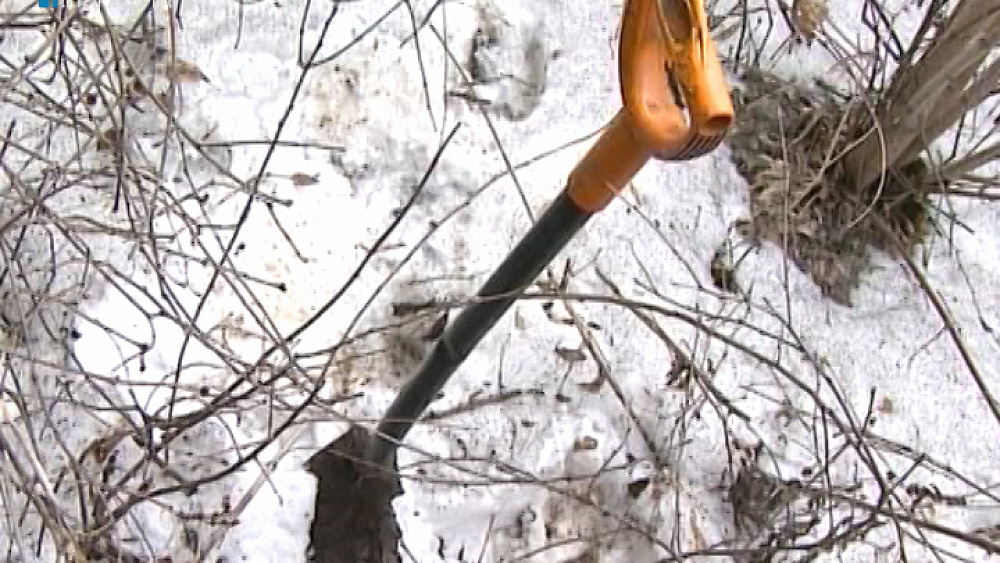 Челябинцы нашли в могиле родственника другое захоронение