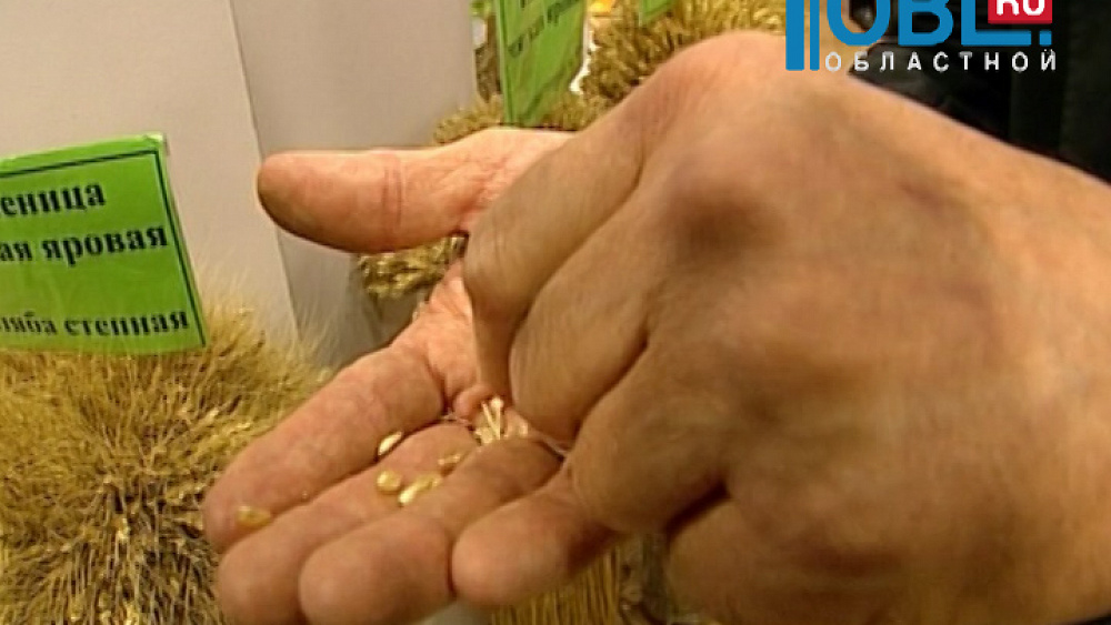 Южноуральские аграрии начнут посевную в середине мая