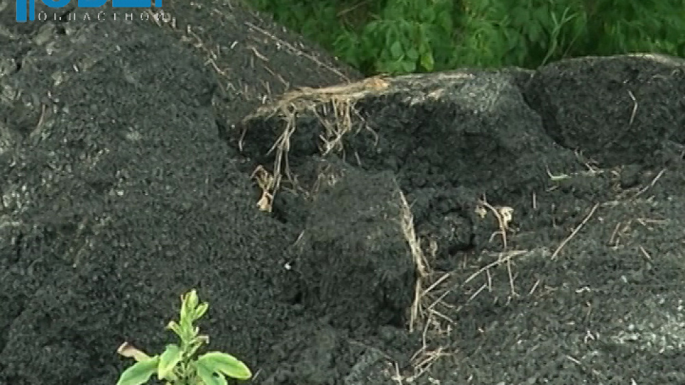 Лес под Челябинском заасфальтировали на миллионы рублей