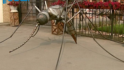 Челябинские дизайнеры предлагают новый взгляд на ландшафтный дизайн