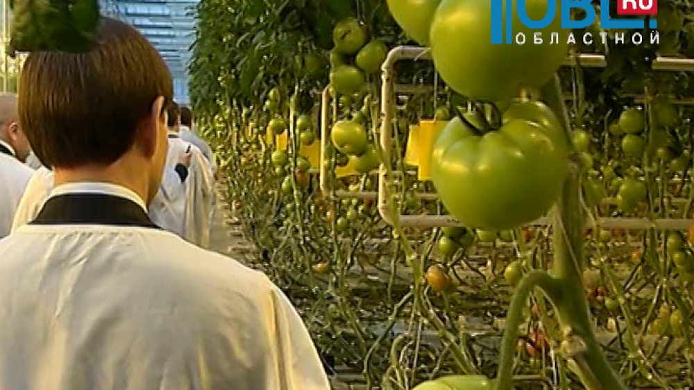 Гости из Чувашии посетили крупные предприятия Челябиснкой области