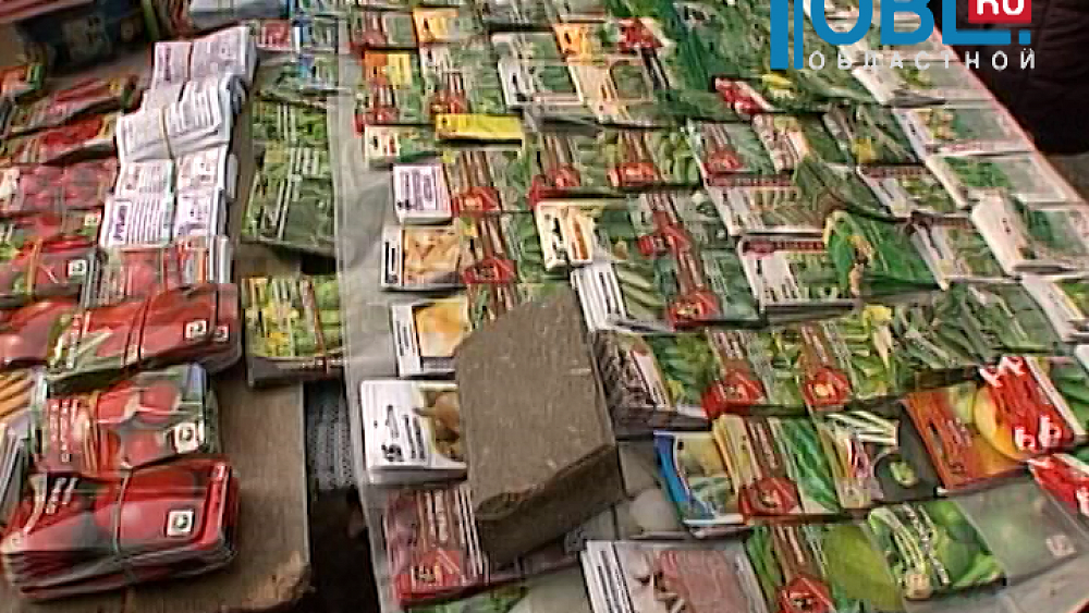 Россельхознадзор проверяет рыночных торговцев семенами и рассадой