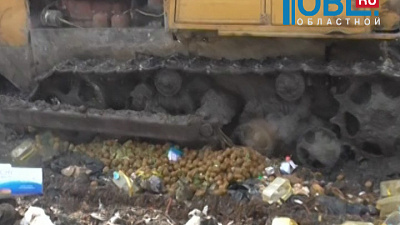 Уничтожили 75 ящиков нелегальных киви