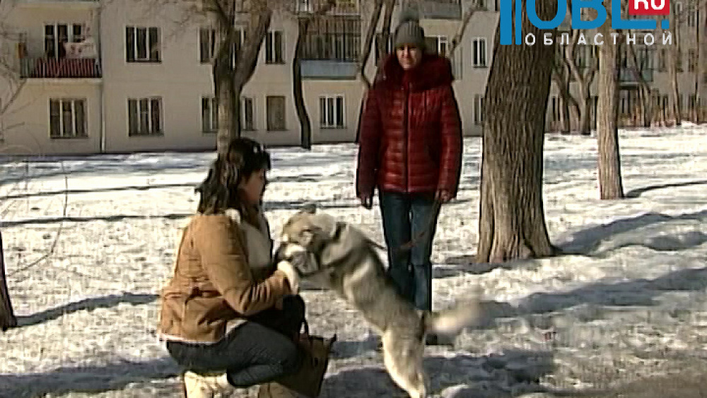 Происшествия дня 11.03.2016