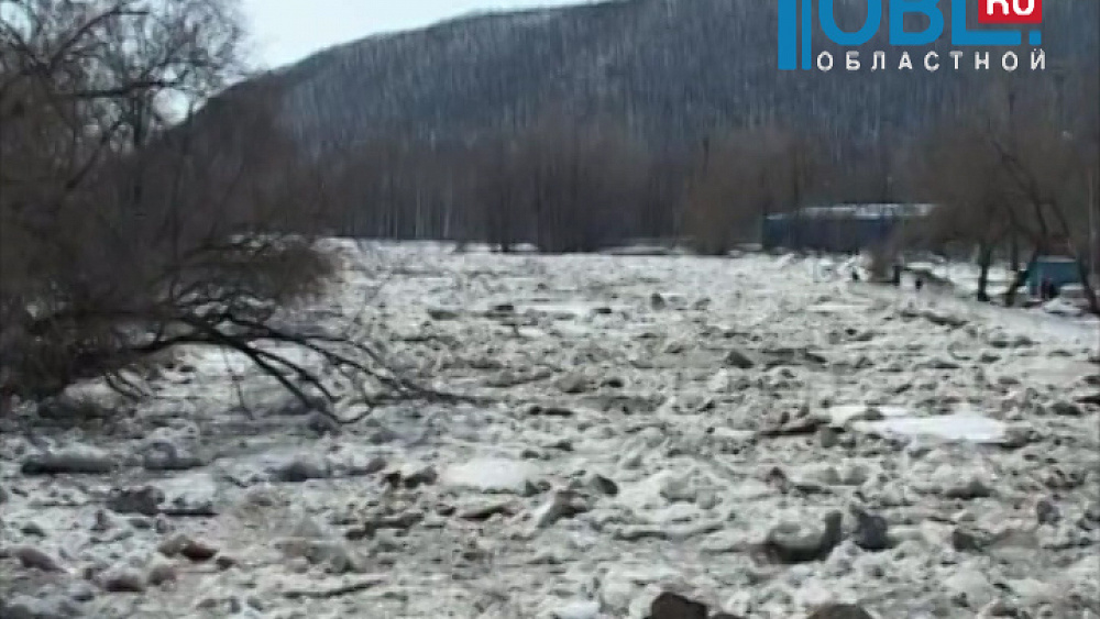 В Челябинской области в зону паводка могут попасть более 500 домов 
