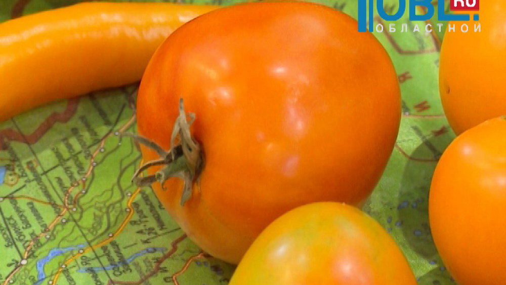 Наш сад Тележурнал №76 от 02.04.2016