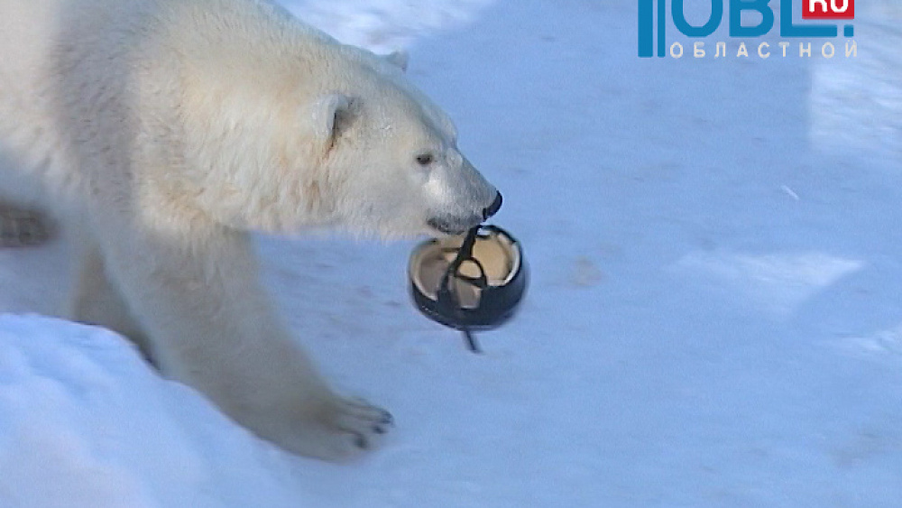 Весь спорт от 14.02.2016