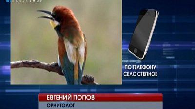Южноуралец заснял редких птиц