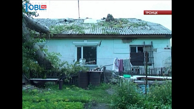 Старый тополь в Троицке повредил крышу жилого дома