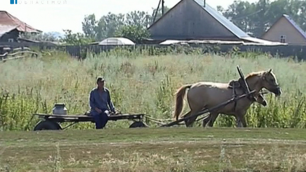 В сельскохозяйственной переписи приняли участие уже более половины южноуральцев