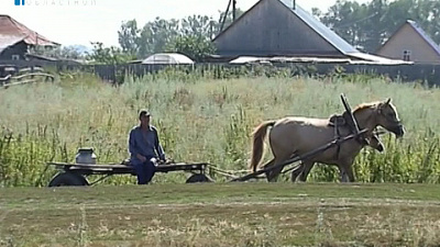 В сельскохозяйственной переписи приняли участие уже более половины южноуральцев