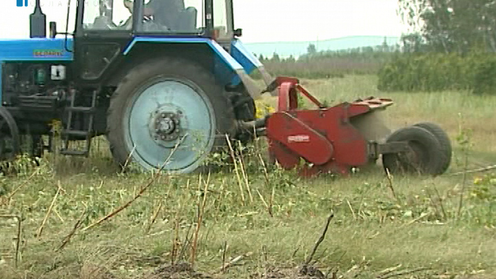 В силу вступили поправки в закон об изъятии неиспользуемых земель