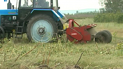 В силу вступили поправки в закон об изъятии неиспользуемых земель