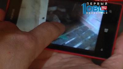 Таинственное животное убило 17 кроликов и похитило курицу в подворье под Копейском