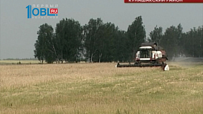 Южноуральские аграрии намолотили уже больше 7 тысяч тонн зерна