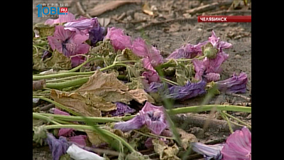 Происшествия дня 04.08.2016