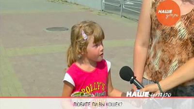 Опрос – любите ли вы кошек?