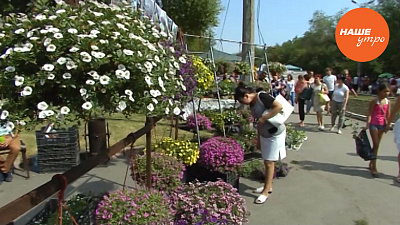 Выставка плодов и цветов