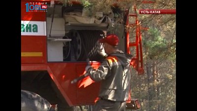 Лесной пожар удалось локализовать