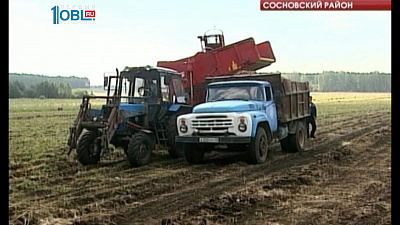 Местный фермер обеспечит местные школы овощами на весь учебный год