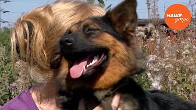 собака по кличке Виктория Чичерина