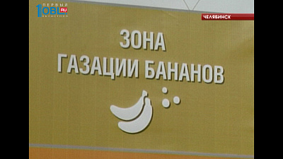  В Челябинской области начнет работать крупный распределительный центр продуктов питания