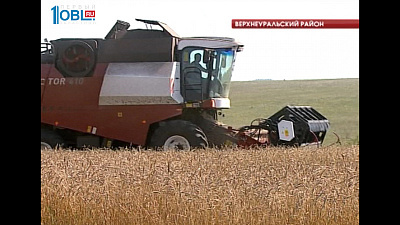 В Челябинской области активно идут работы по сбору зерновых