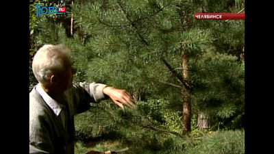 Южноуралец выращивает редкие для региона растения