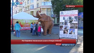 На Кировке поселился слон и птица счастья