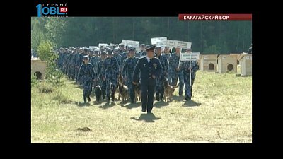 учшую служебную собаку Федеральной службы исполнения наказаний выбирают в Карагайском бору 